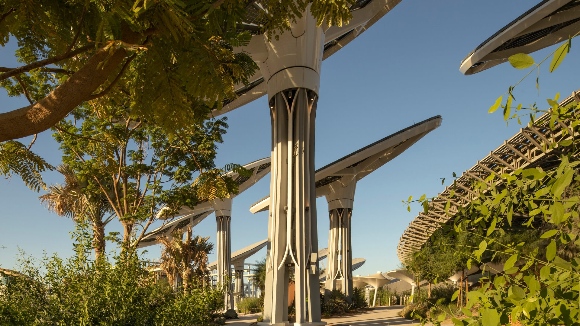 Aerial view of Terra - The Sustainability pavilion