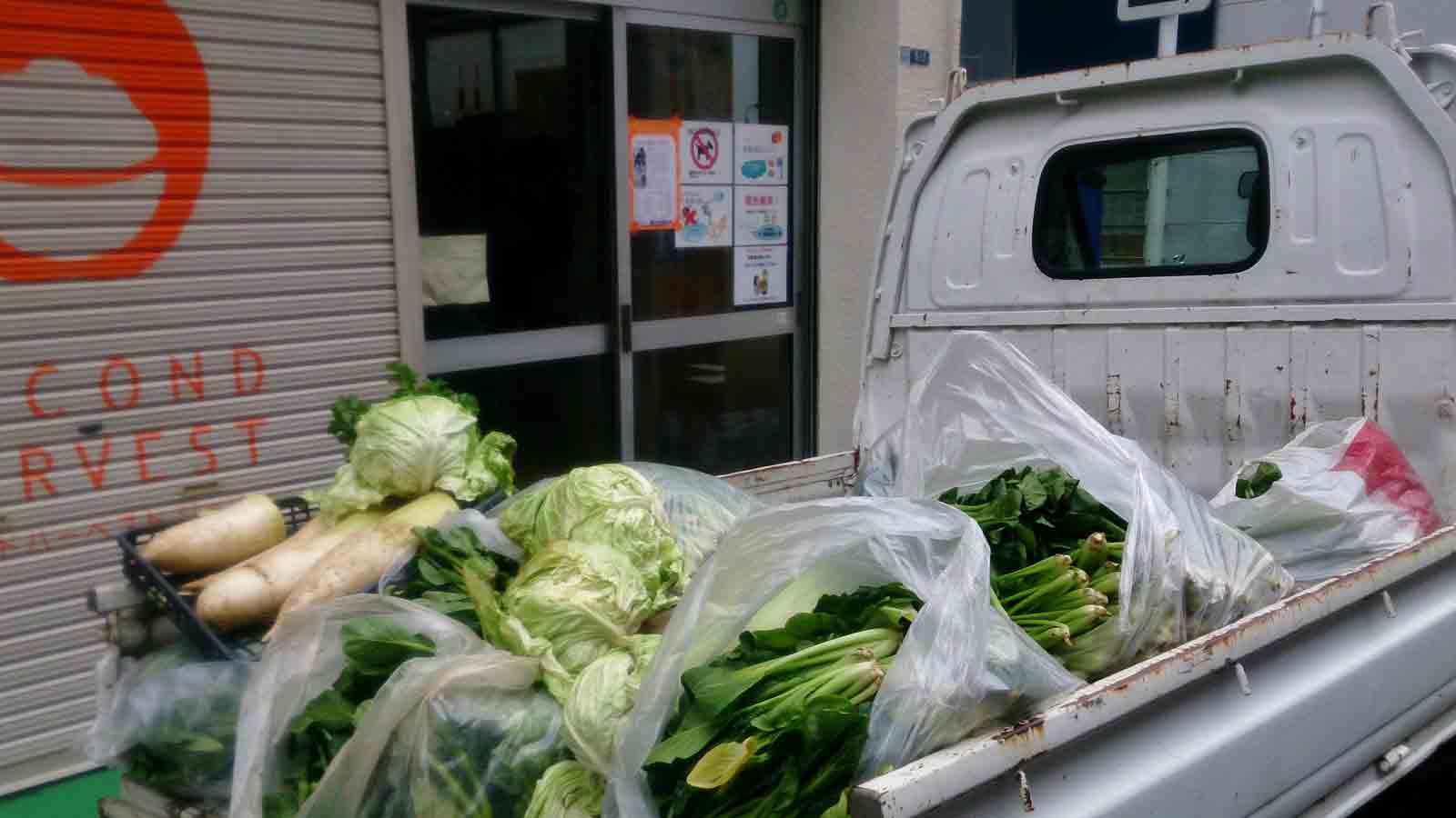 Vegetables piled on struck